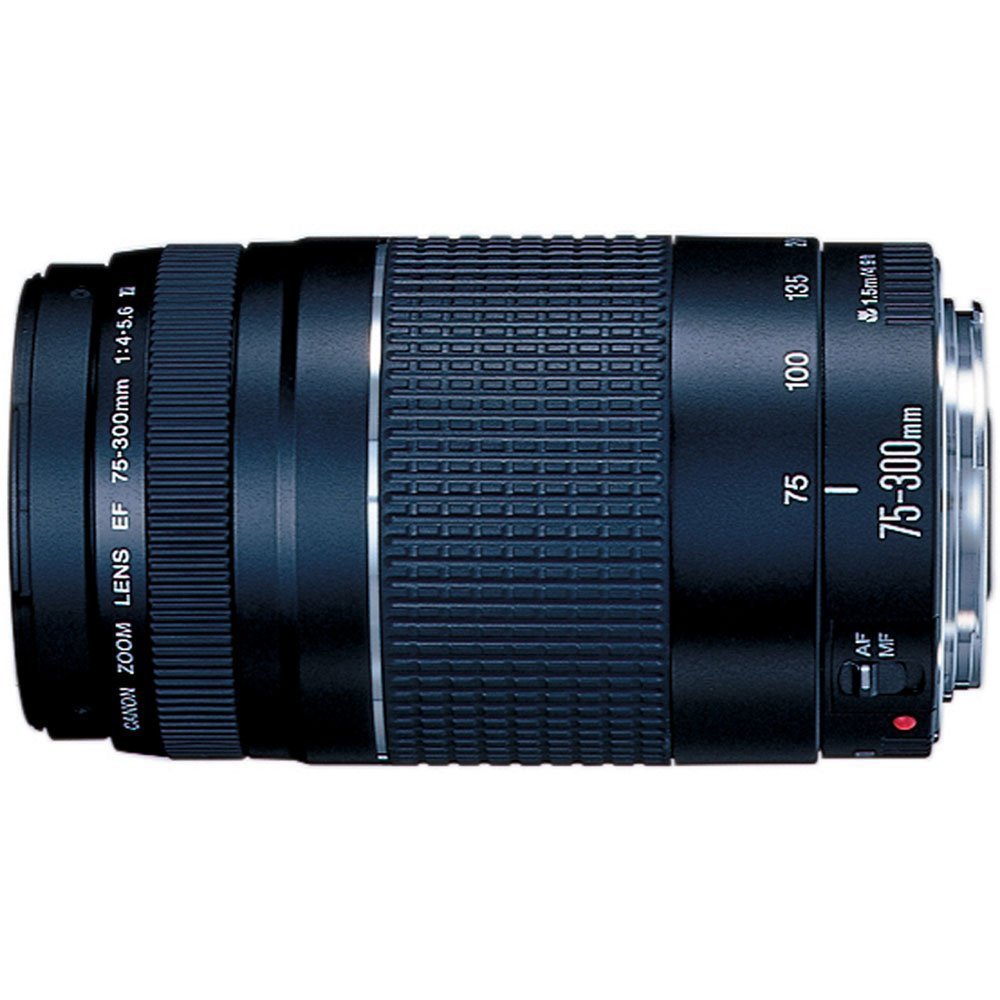 Canon EOS Rebel T3 12.2 MP CMOS Digital SLR with 18-55mm IS II Lens + Canon EF 75-300mm f/4-5.6 III Telephoto Zoom Lens 4