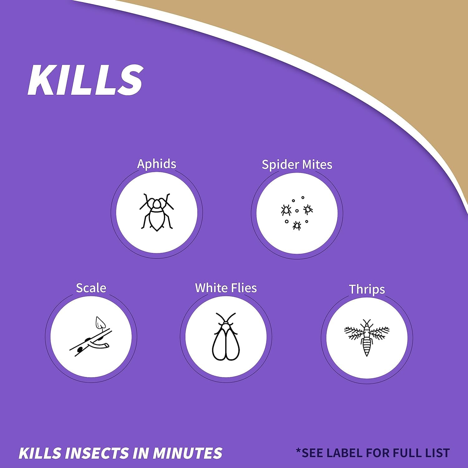 Bonide Insecticidal Soap, 32 oz Ready-to-Use Spray Multi-Purpose Insect Control for Organic Gardening Indoor and Outdoor- Pack of 2 4