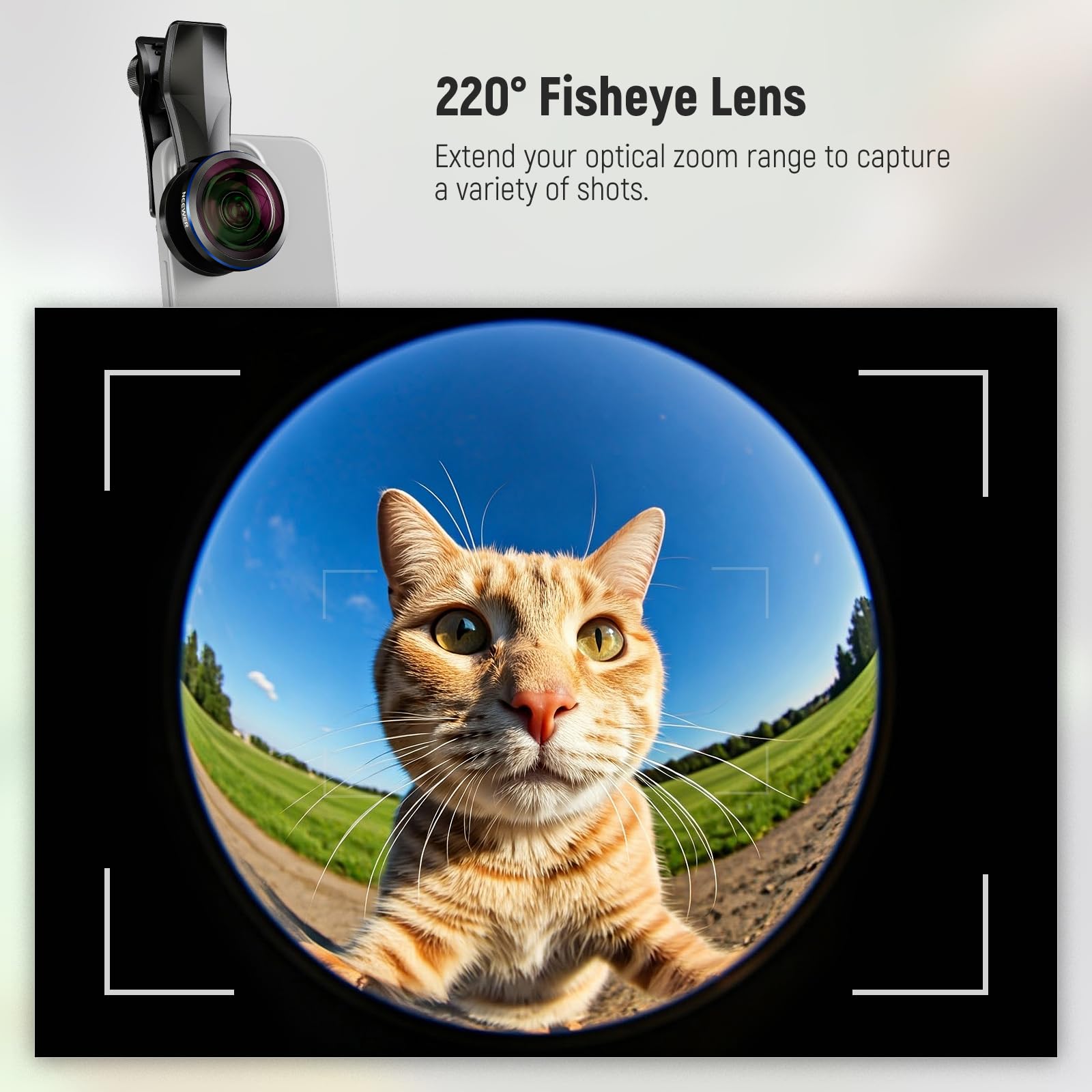 NEEWER 8mm Fisheye Lens with 220 Wide Angle & 17mm Thread Phone Lens Clip, Also for 17mm Threaded Phone Cage/Case/Clamp/Backplate, LS-29 PRO 5