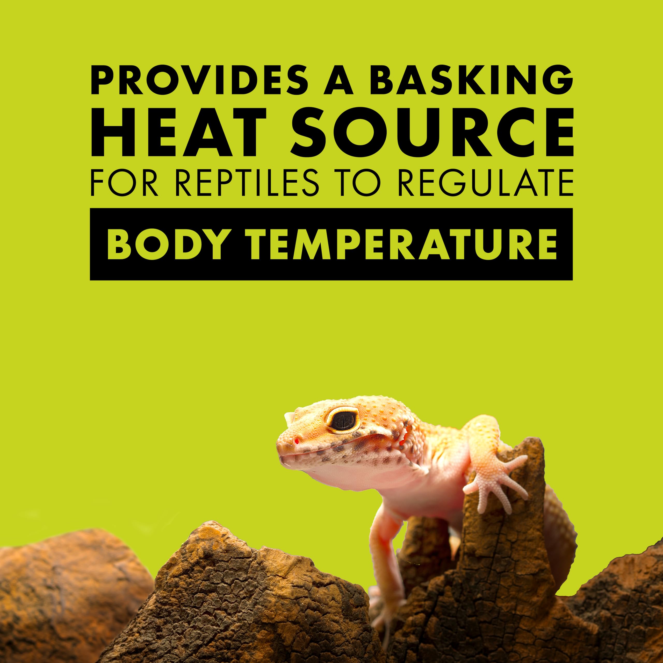 Zilla Incandescent Spot Bulbs Day White 100 Watts 3