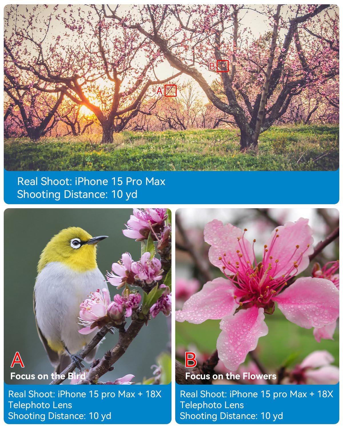 Evil Eye 18X Telephoto Lens, HD Telephoto Mobile Cell Phone Lens with Tripod, BAK4 Prism/FMC Lens, Lens Attachment for Android & iPhone, Samsung and Most Smartphone 4