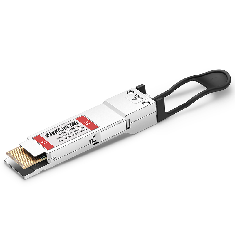 400G QSFP-DD Passive Loopback Testing Module for FS Switches 3